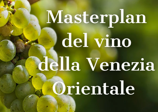 Masterplan del vino VeGAL - GAL Venezia Orientale