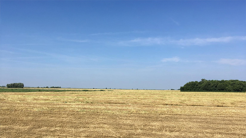 Agosto 2018 VeGAL - GAL Venezia Orientale