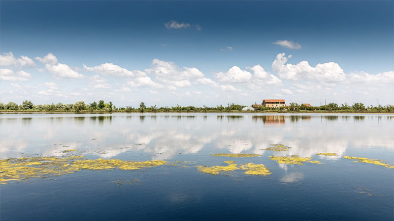 Maggio 2019 VeGAL - GAL Venezia Orientale
