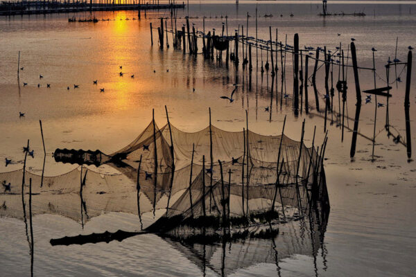 Pesca e Acquacoltura FLAG Veneziano FEAMPA 2021-2027 - VeGAL