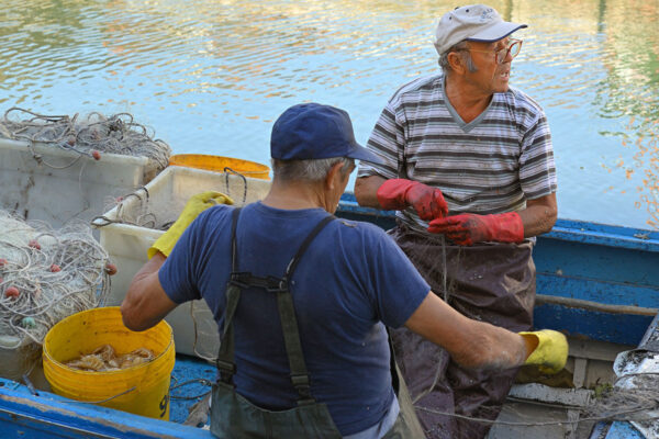 Pesca e Acquacoltura FLAG Veneziano FEAMPA 2021-2027 - VeGAL