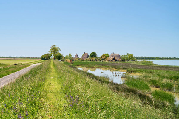Osservatorio del Paesaggio della Venezia Orientale - VeGAL